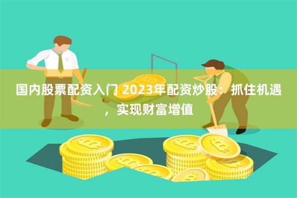 国内股票配资入门 2023年配资炒股：抓住机遇，实现财富增值