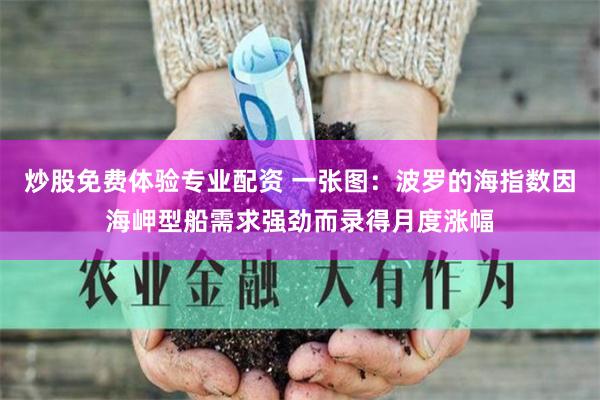 炒股免费体验专业配资 一张图：波罗的海指数因海岬型船需求强劲而录得月度涨幅