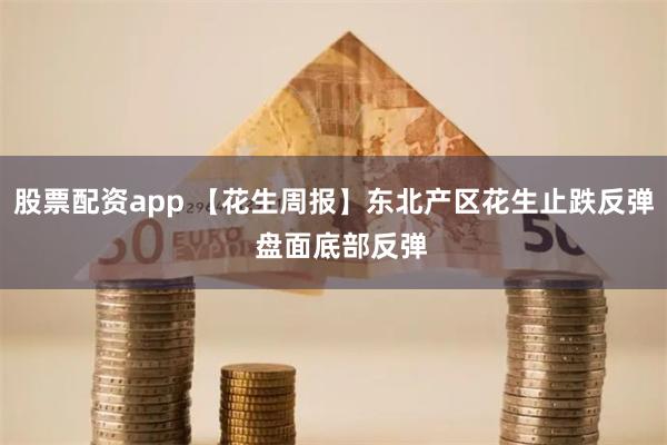 股票配资app 【花生周报】东北产区花生止跌反弹  盘面底部反弹