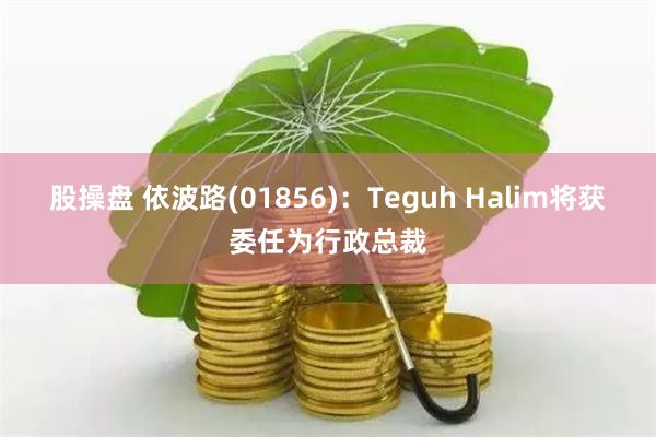 股操盘 依波路(01856)：Teguh Halim将获委任为行政总裁