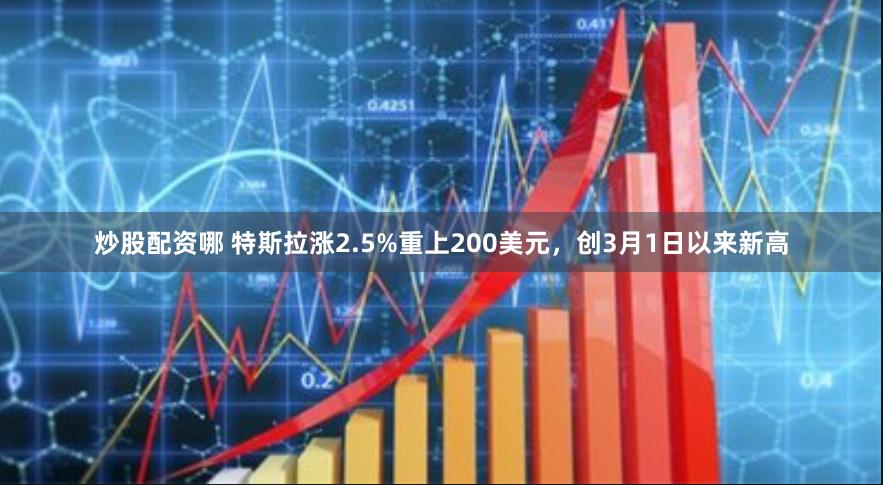 炒股配资哪 特斯拉涨2.5%重上200美元，创3月1日以来新高
