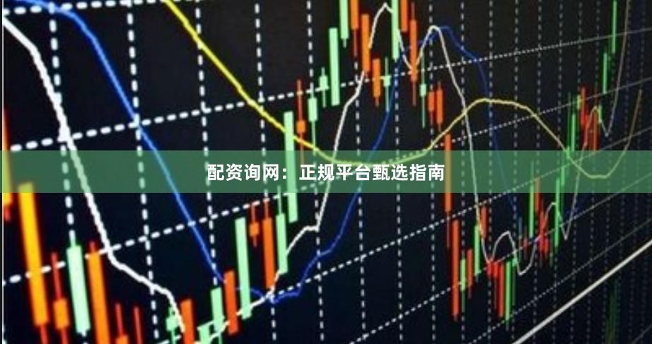 配资询网：正规平台甄选指南
