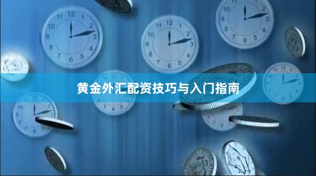 黄金外汇配资技巧与入门指南